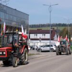 protest rolników, Korzenna