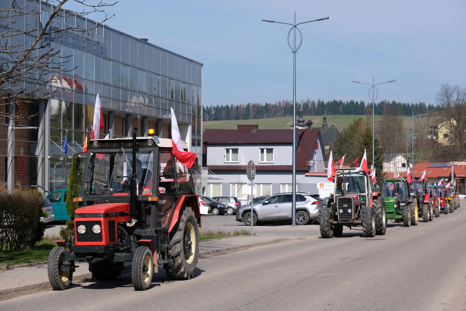 protest rolników, Korzenna