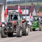 protest rolników, Korzenna