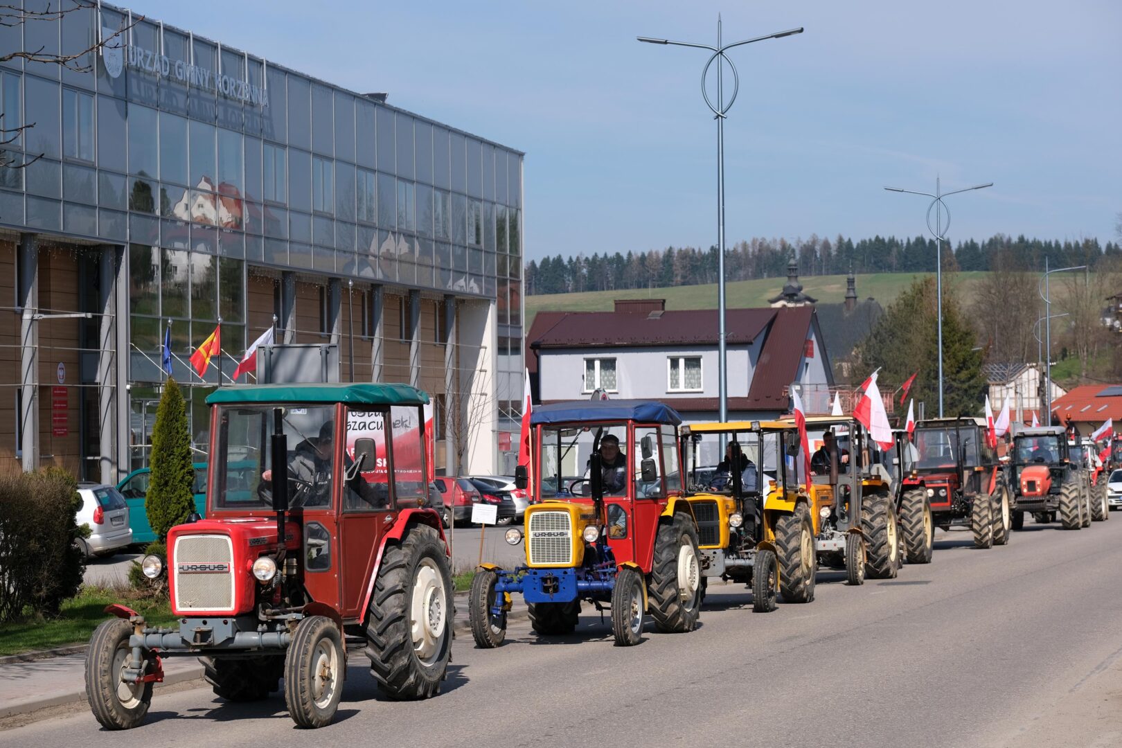 protest rolników, Korzenna