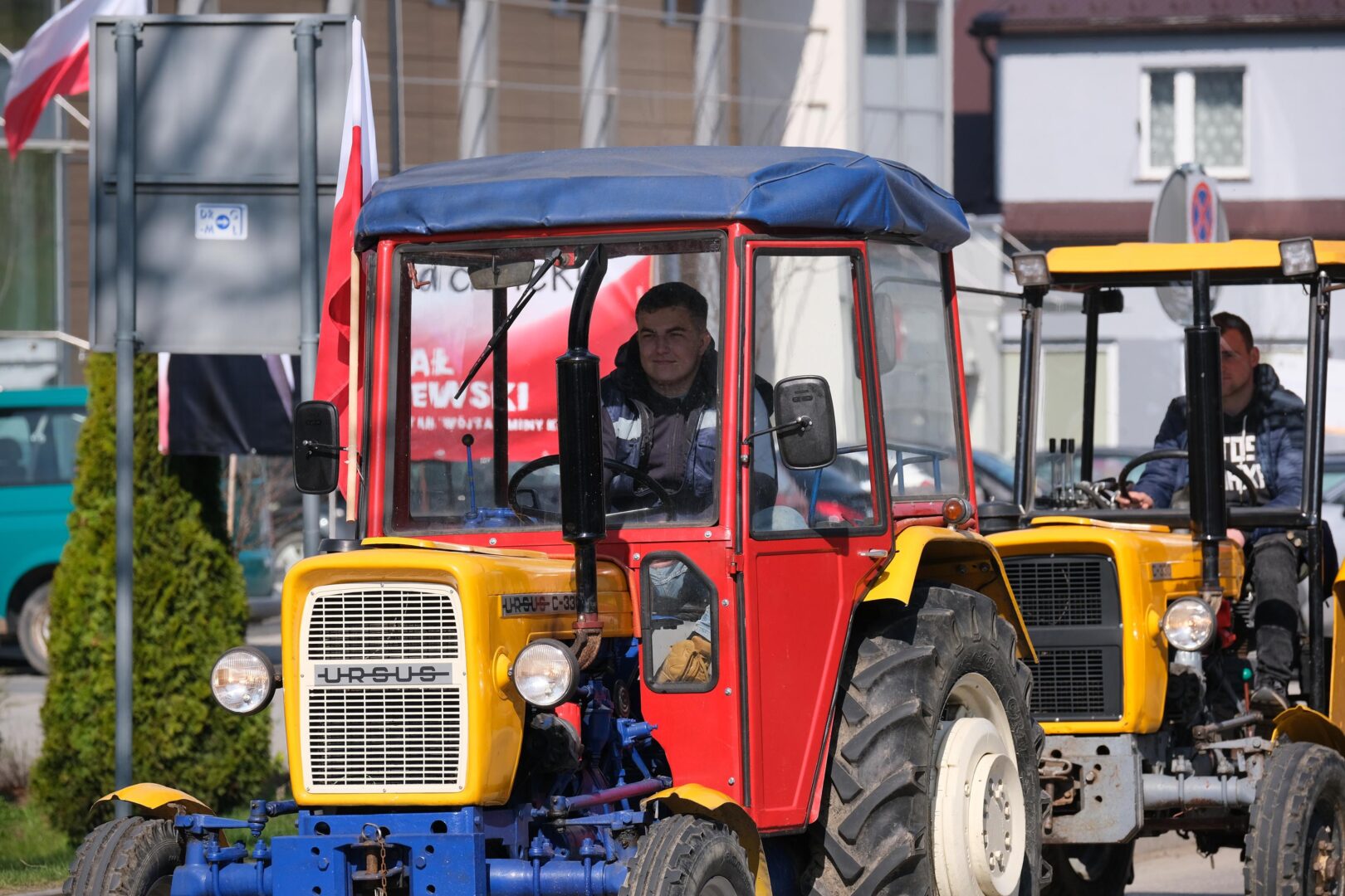 protest rolników, Korzenna