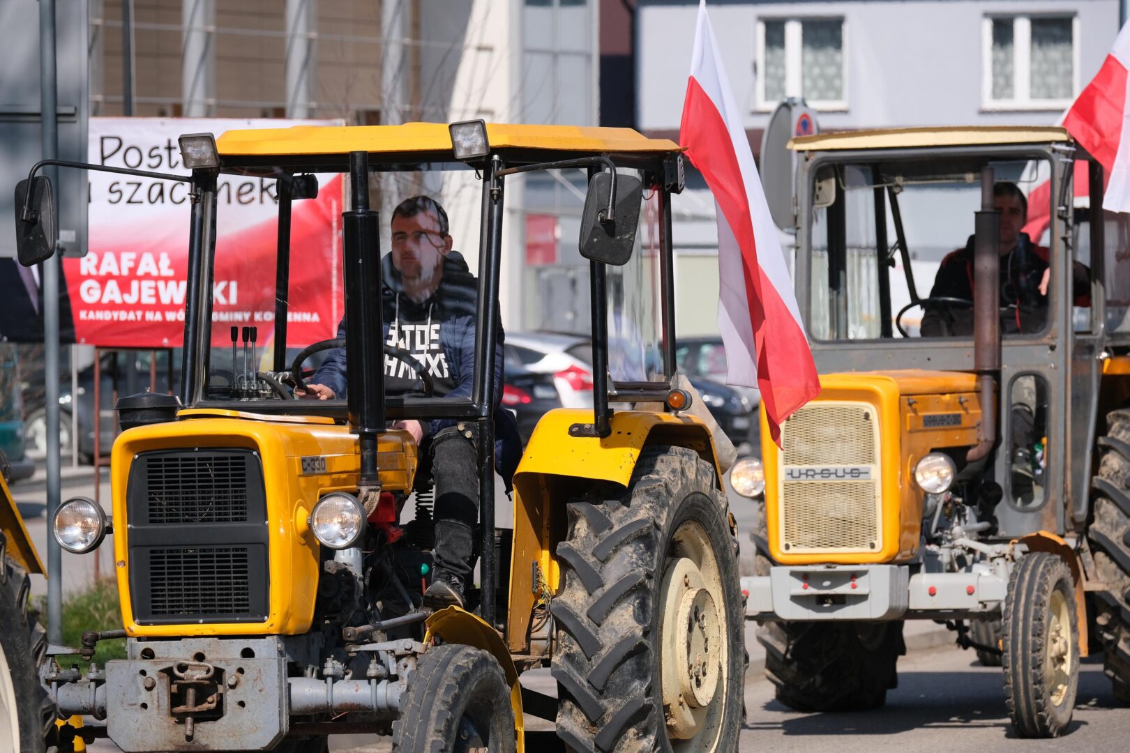 protest rolników, Korzenna