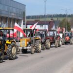 protest rolników, Korzenna