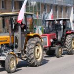 protest rolników, Korzenna