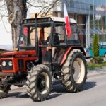 protest rolników, Korzenna
