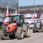 protest rolników, Korzenna