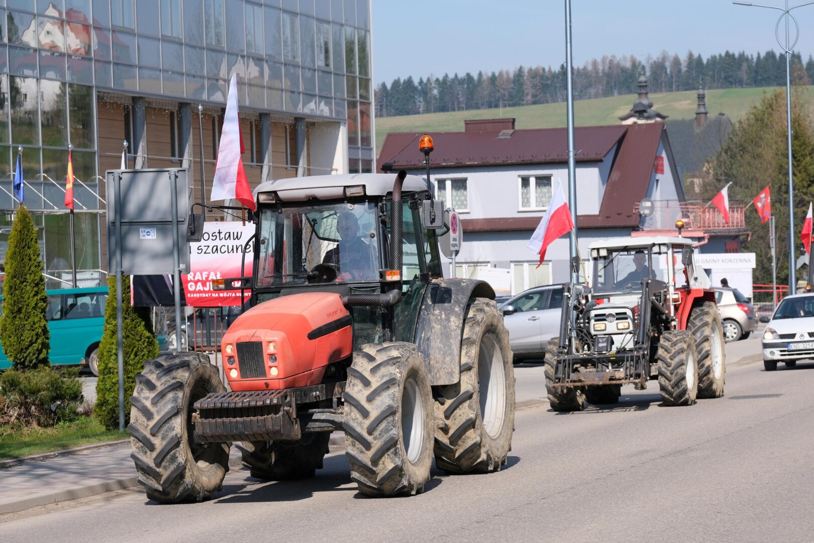 protest rolników, Korzenna
