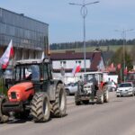 protest rolników, Korzenna