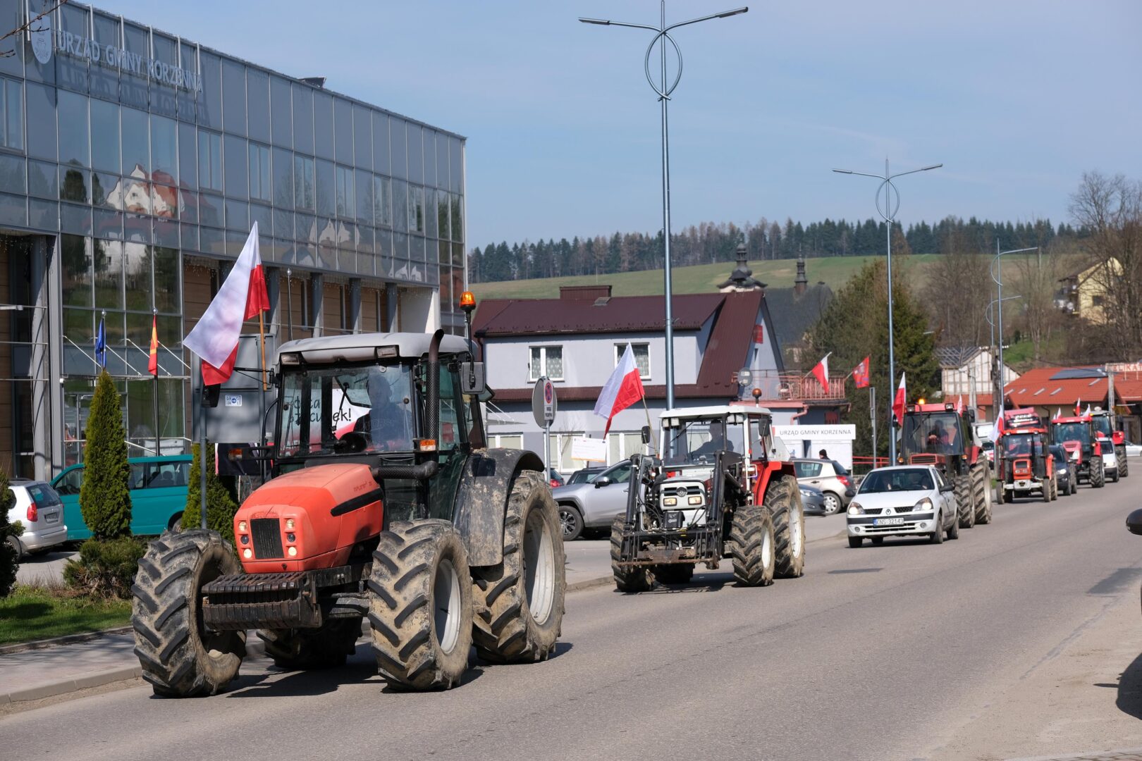 protest rolników, Korzenna