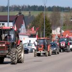 protest rolników, Korzenna