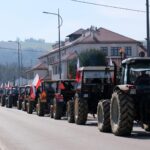 protest rolników, Korzenna