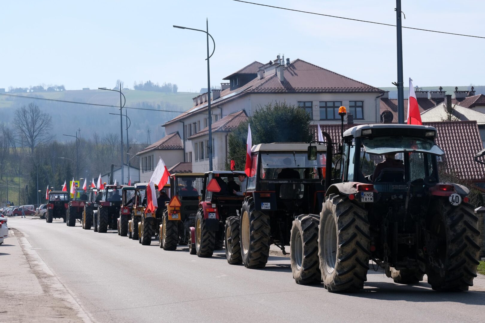 protest rolników, Korzenna