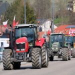 protest rolników, Korzenna