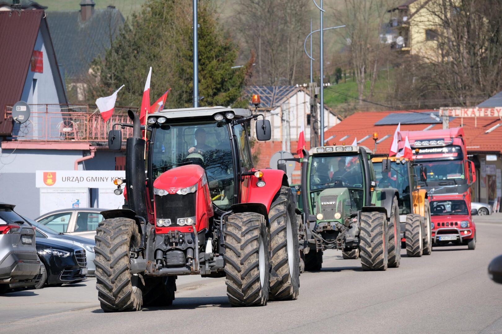 protest rolników, Korzenna