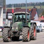 protest rolników, Korzenna