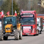 protest rolników, Korzenna