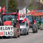 protest rolników, Korzenna