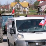protest rolników, Korzenna