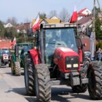 protest rolników, Korzenna
