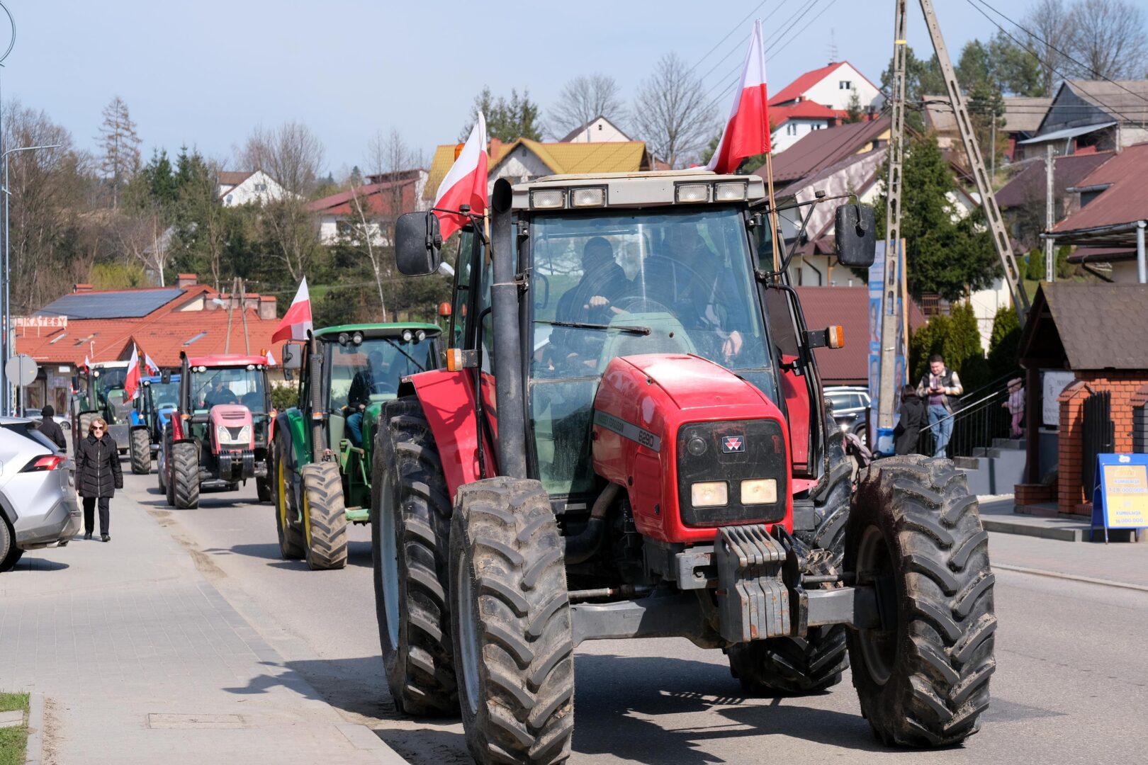 protest rolników, Korzenna