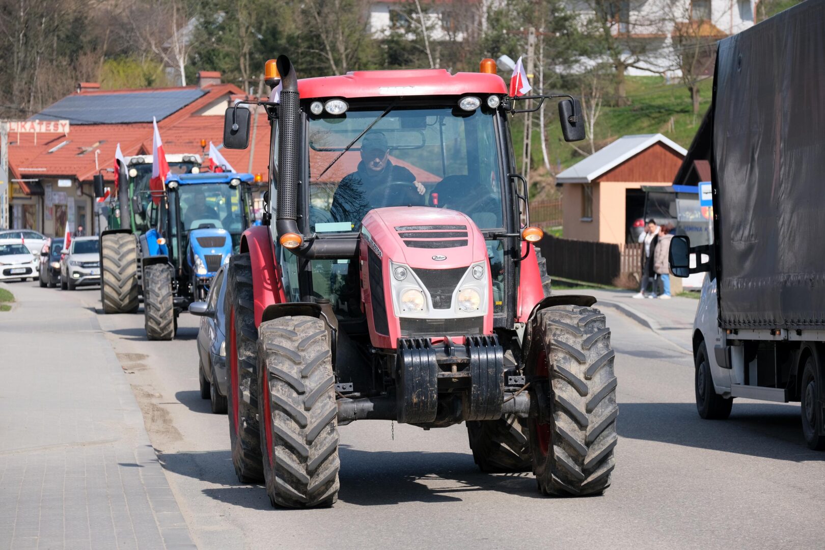 protest rolników, Korzenna