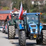 protest rolników, Korzenna