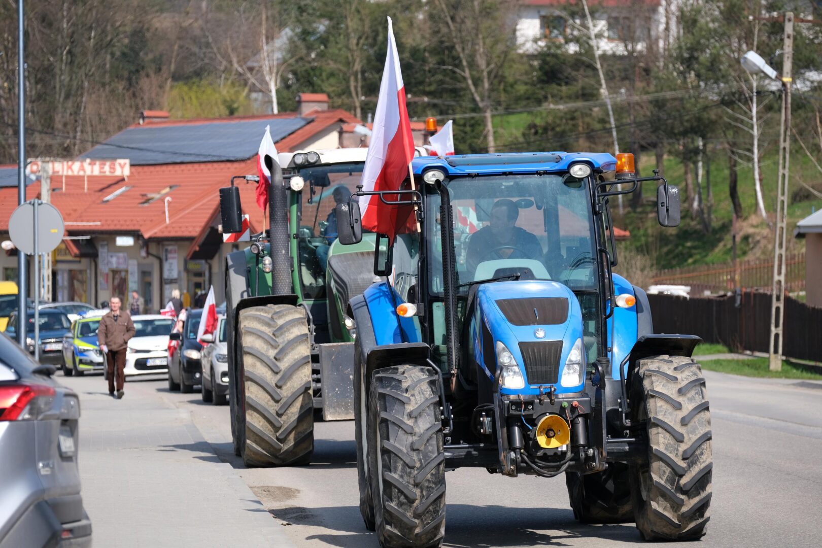 protest rolników, Korzenna