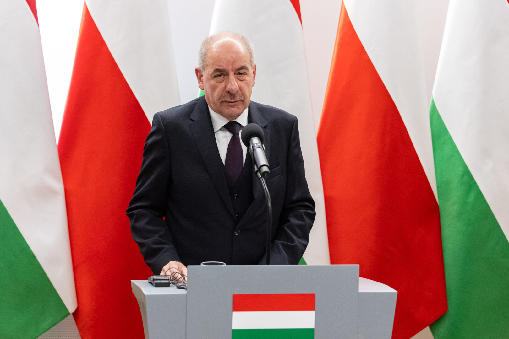 Stary Sącz, Dzień Przyjaźni Polsko–Węgierskiej