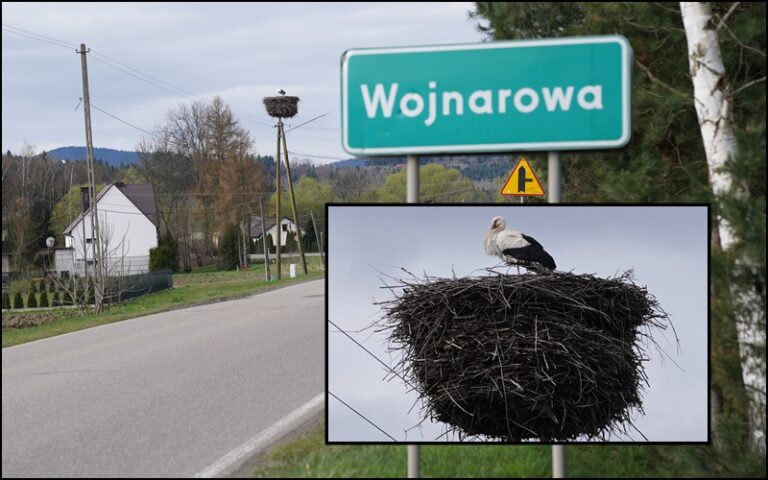 Sądecczyzna. Bocian wylądował, więc oficjalnie nadeszła wiosna