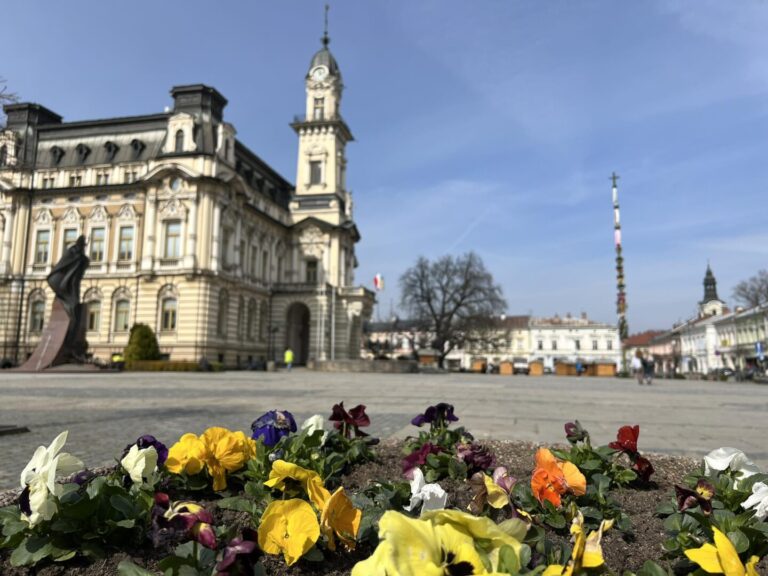 Przyszła wiosna, a synoptycy ostrzegają przed przymrozkami