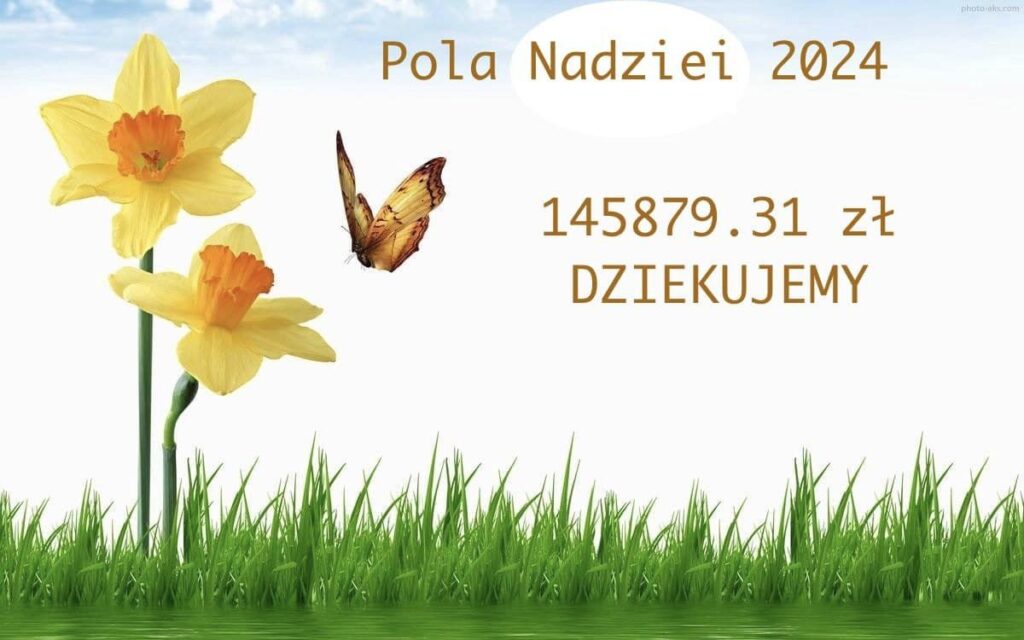 Pola Nadziei 2024