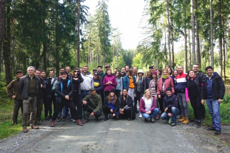 Rusza piąta edycja Festiwalu Wolontaryjnego EY GDS Polska. Pracownicy zasadzą 4000 drzew