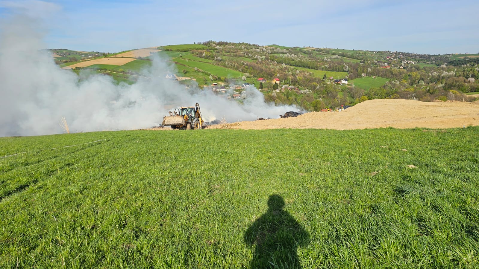 pożar Słowikowa, plantacja trawy energetycznej