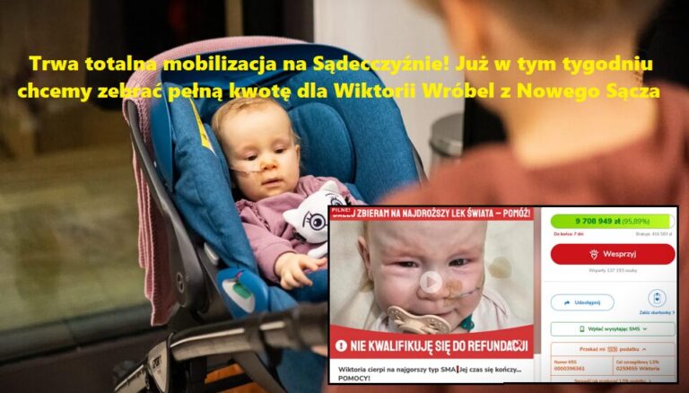 Nowy Sącz. Tylko dziś zebrano prawie 100 tysięcy! Trwa społeczna mobilizacja dla Wiki Wróbel