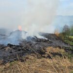 pożar Słowikowa, plantacja trawy energetycznej