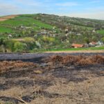 pożar Słowikowa, plantacja trawy energetycznej
