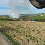 pożar Słowikowa, plantacja trawy energetycznej