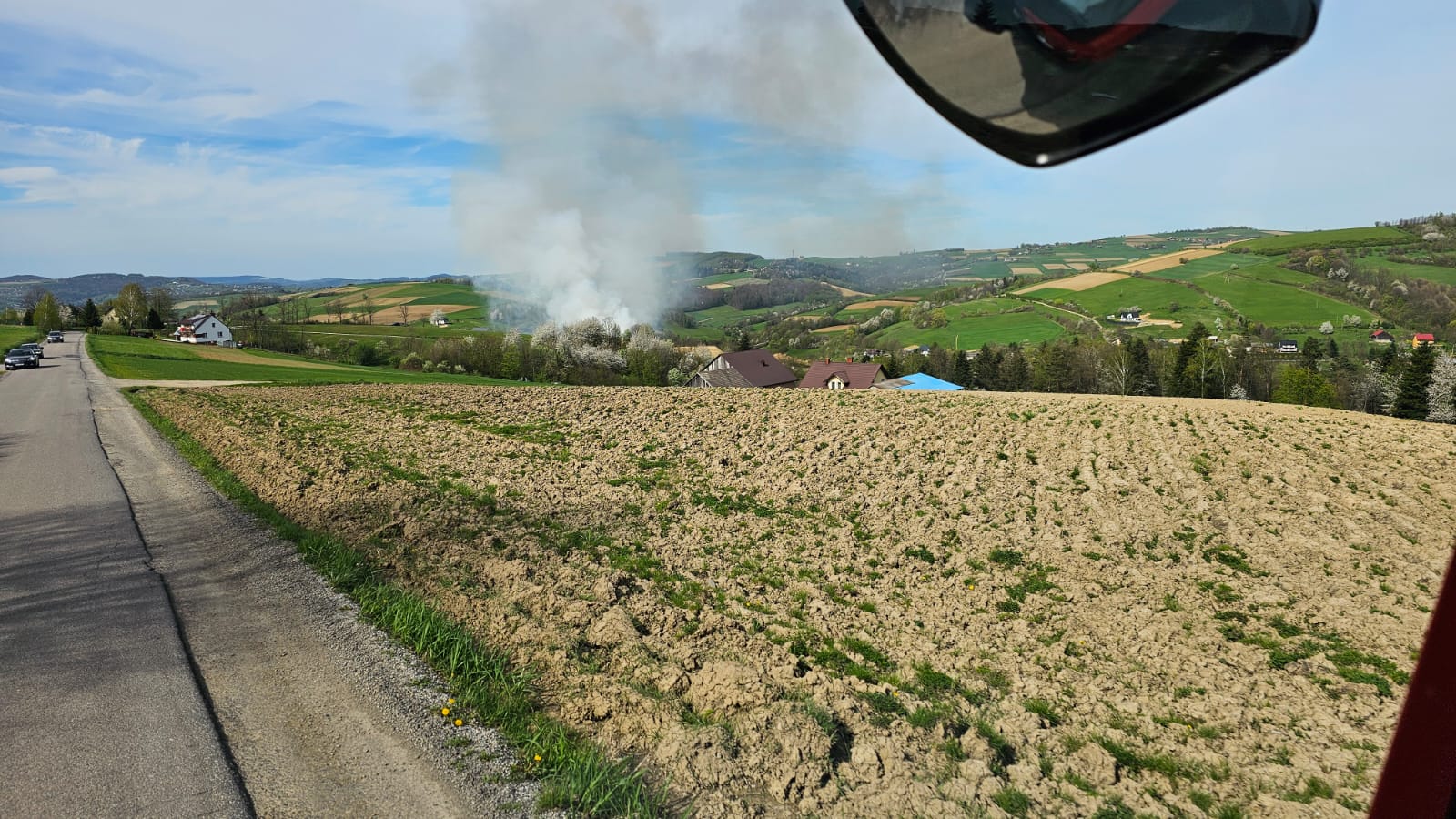 pożar Słowikowa, plantacja trawy energetycznej