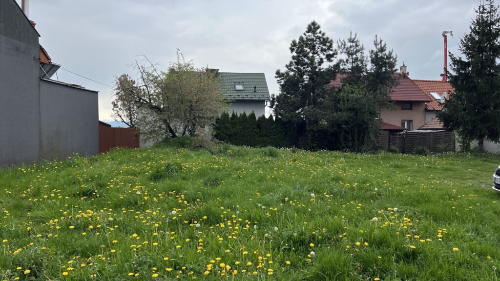 park kieszonkowy