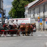 150-lecie straży pożarnej w Nowym Sączu, Wojewódzki Dzień Strażaka