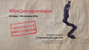sokół