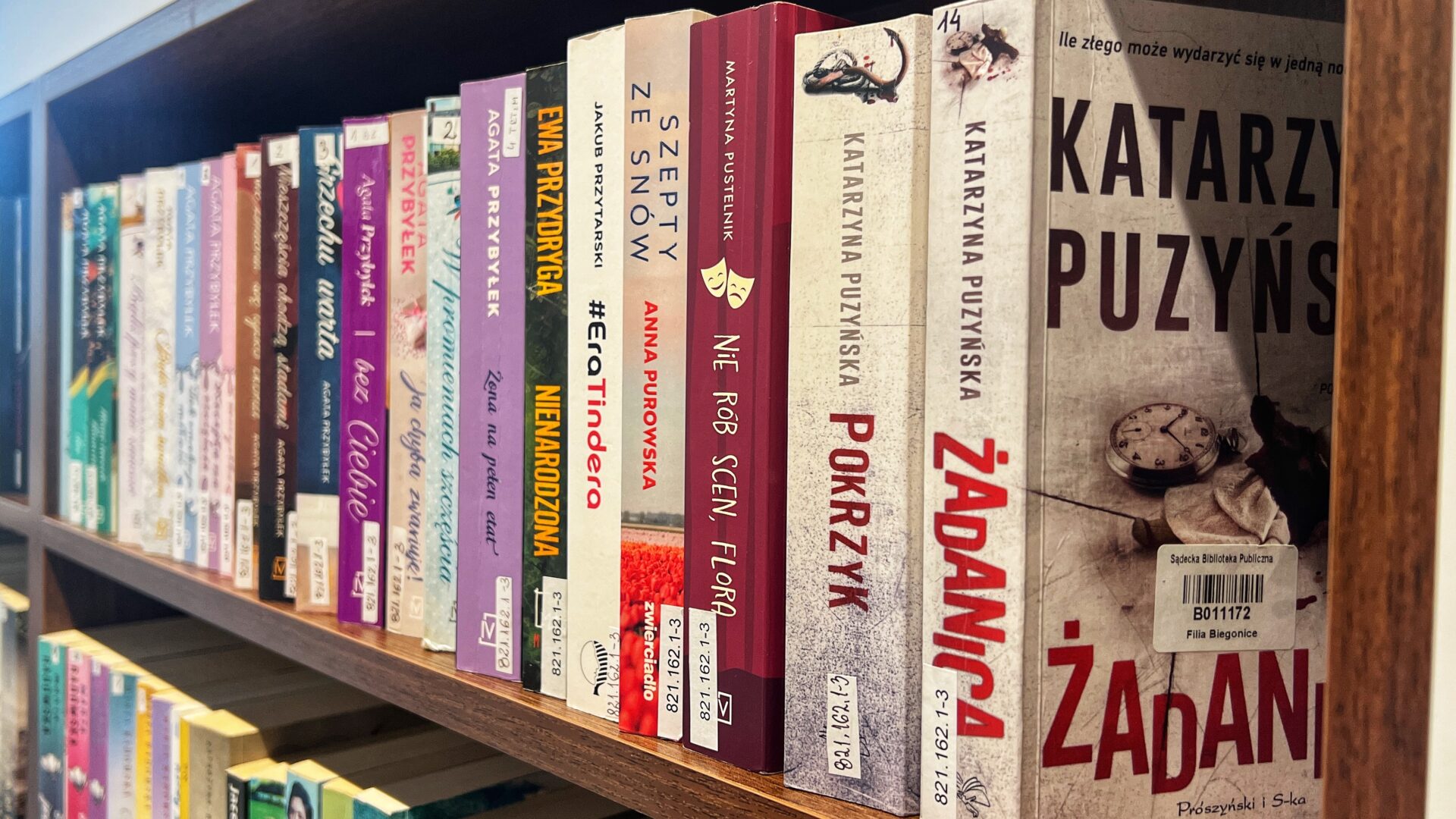 Sądecka Biblioteka Publiczna