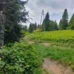 Grupa Podhalańska GOPR