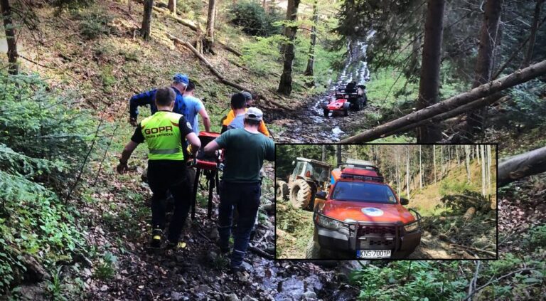 Beskid Sądecki. Nie żyje młody mężczyzna. Został przygnieciony przez drzewo [ZDJĘCIA]