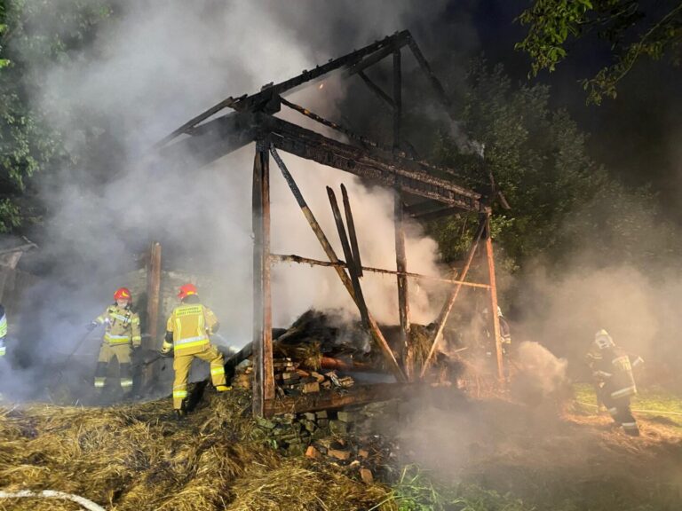 Zabrzeż. Budynek gospodarczy stanął w płomieniach