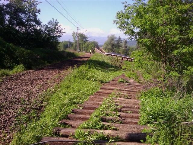 Sądecczyzna, powódź 2010
