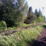 Sądecczyzna, powódź 2010