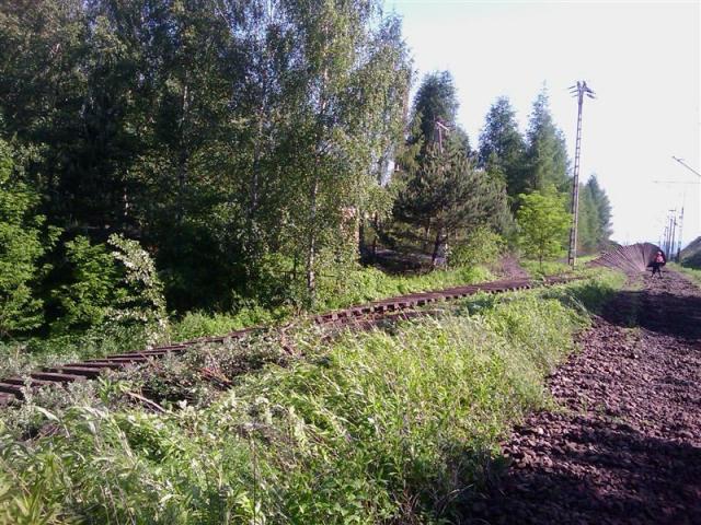Sądecczyzna, powódź 2010