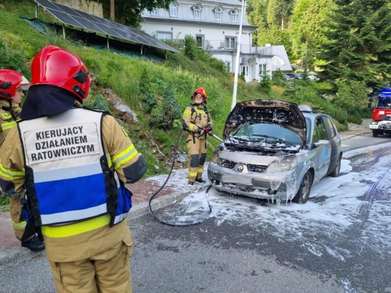 Krynica-Zdrój. Strażacy gasili palącą się taksówkę