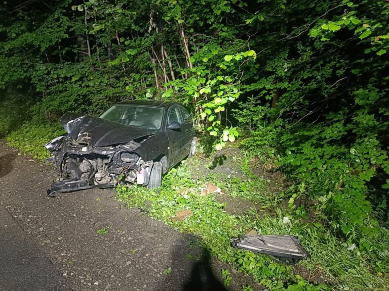 Kotów. Samochód osobowy wypadł z drogi i uderzył w drzewo